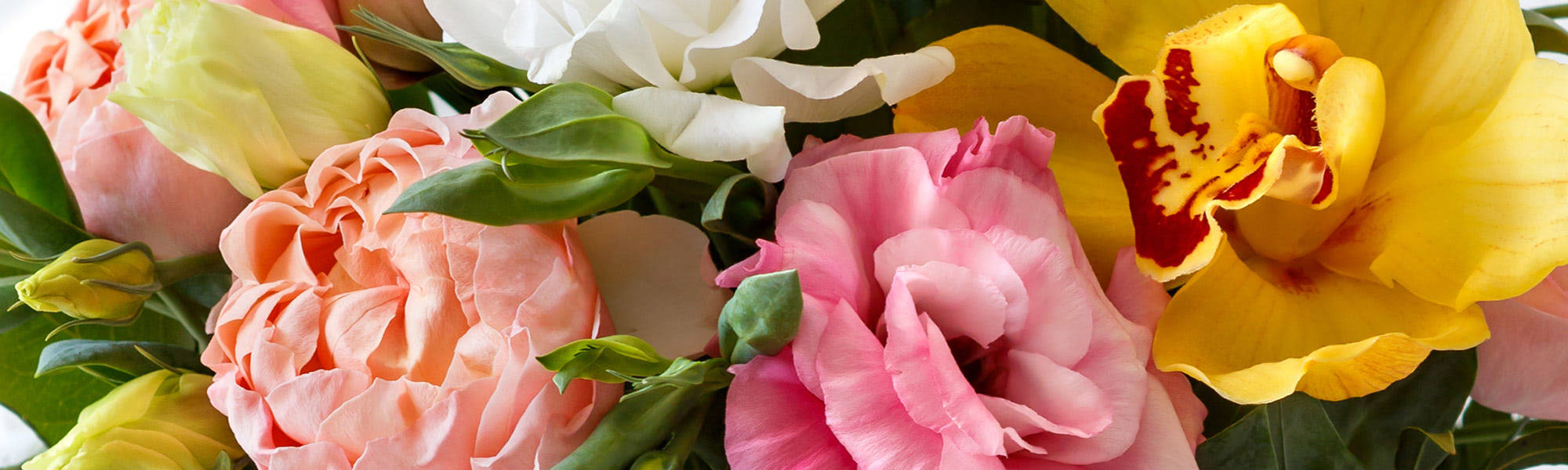 Bloomwoods Flowers Flower Delivery Columbus, GA Florist