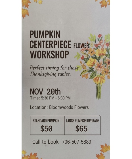 Fall Pumpkin Workshop