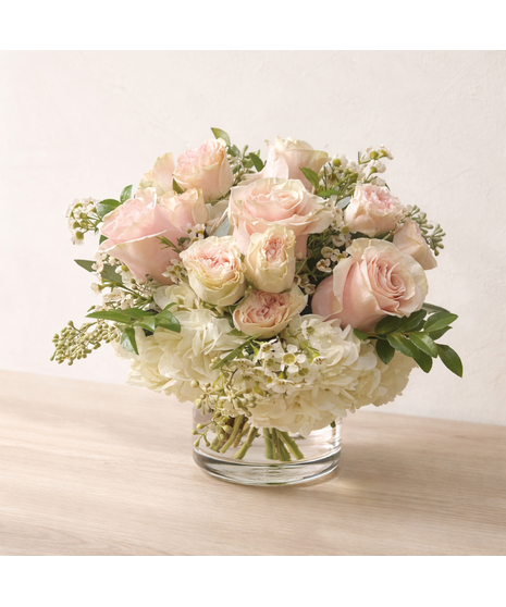 Pink and White Dreams