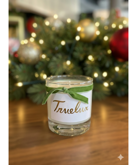 Truelux Candle Holiday Spice
