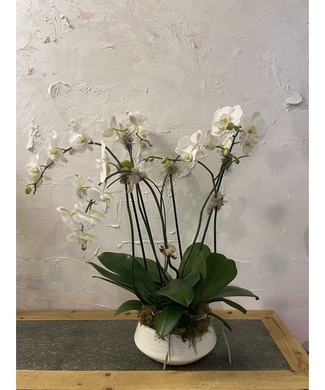 Triple orchid planter