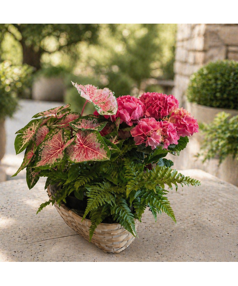 Hydrangea Fern Basket