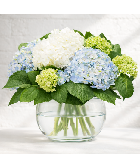 Fresh Hydrangea Bowl Blue