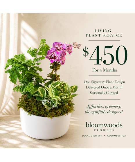 4 Month Plant  Delivery