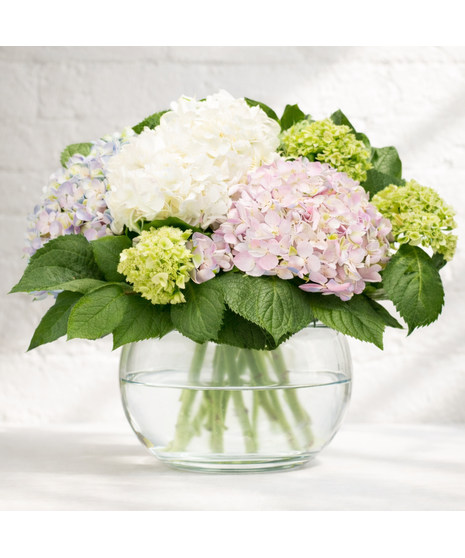 Fresh Hydrangea Bowl Pink