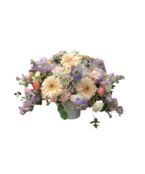Pastel Dreams