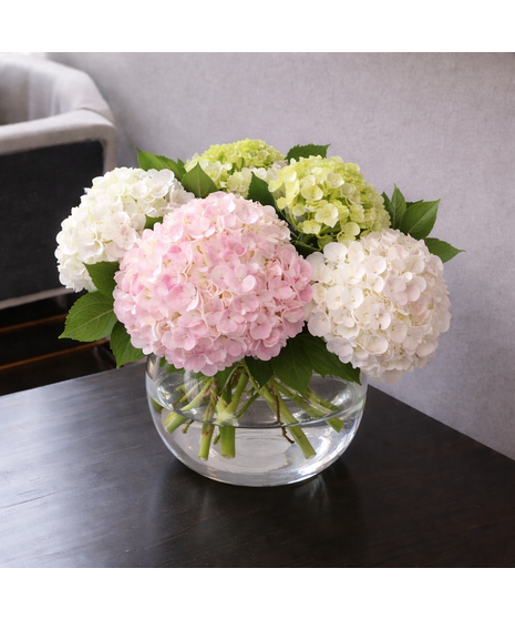 Fresh Hydrangea Bowl Pink