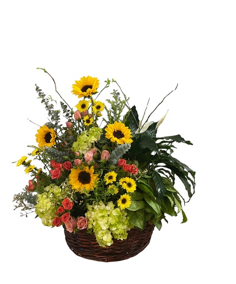 Heavenly Garden Flower Plant Combo- Round