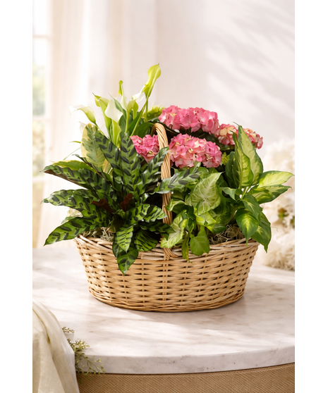 Large Blooming Basket with Hydrangea