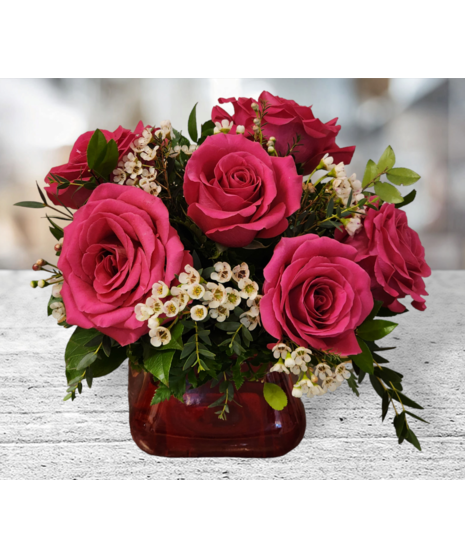 Half Dozen Hot Pink Roses with Filler