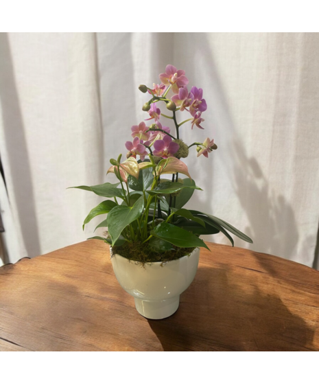 Small Pink Orchid with Anthurium