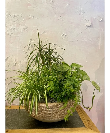 Deluxe Planter