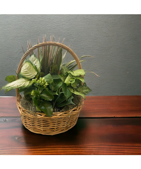 Deluxe Plant Garden Basket