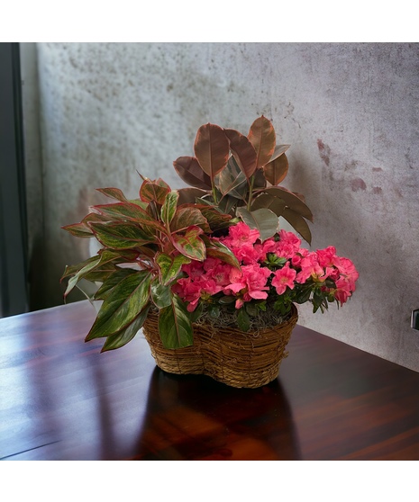 Azalea Trio Basket