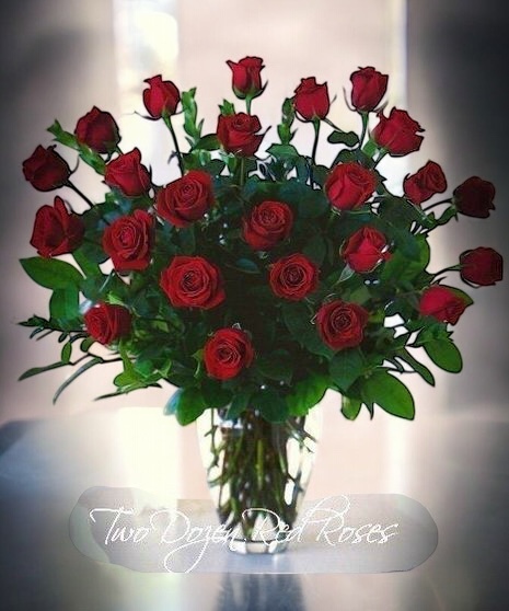 Two Dozen Rose Arrangement