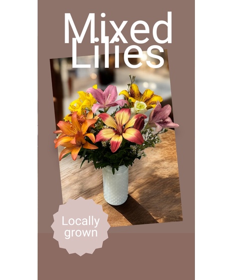 Mixed Lilies