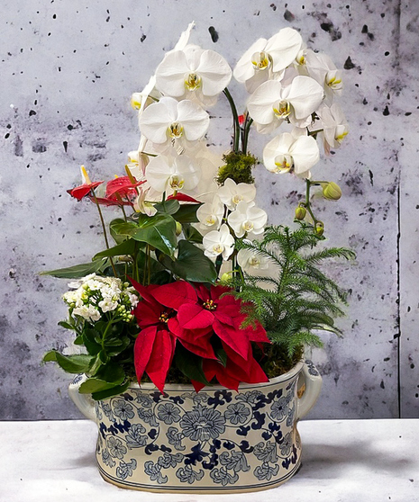 Christmas Chinoiserie Planter Deluxe