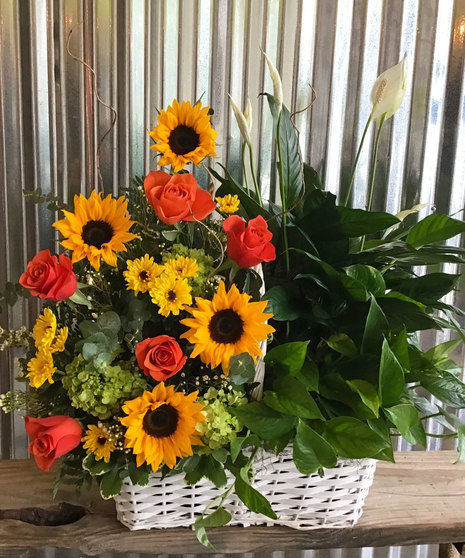 Heavenly Garden Flower Plant Combo- One sided