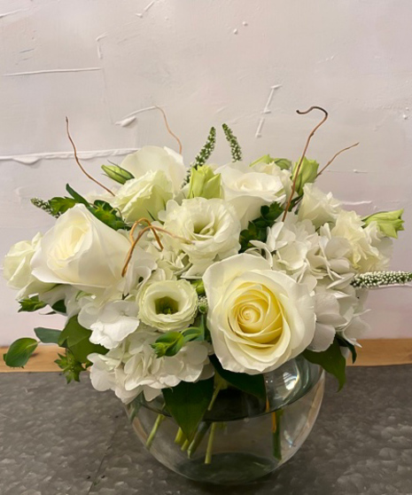 Classic White